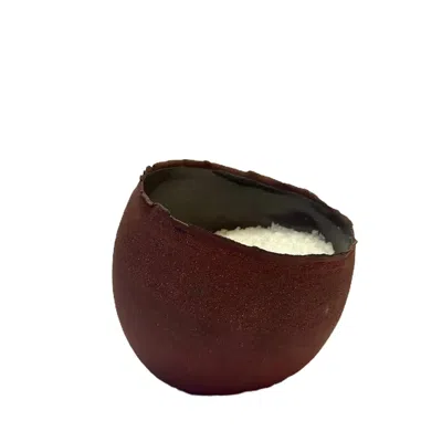 Clay And Limes Red Salt Pig Variant In Red