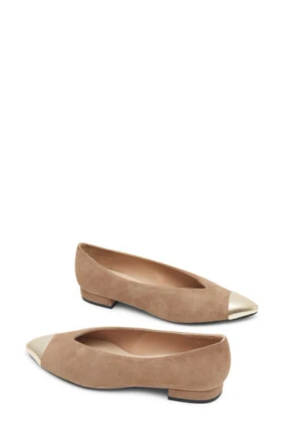 Jon Josef Real Pointed Cap Toe Pump In Multi