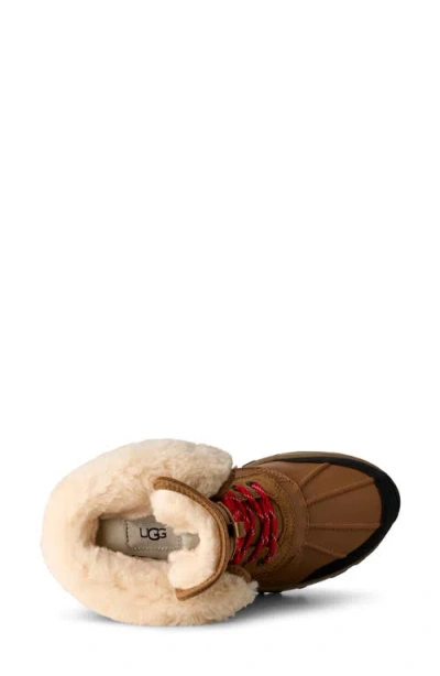 Ugg(r) Adirondack Xxv Boot In Brown