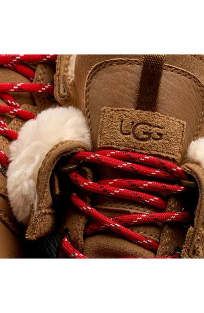 Ugg(r) Adirondack Xxv Boot In Brown