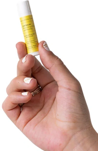 Lizush Lip Balm Set Of 3 Natural Unscented In White