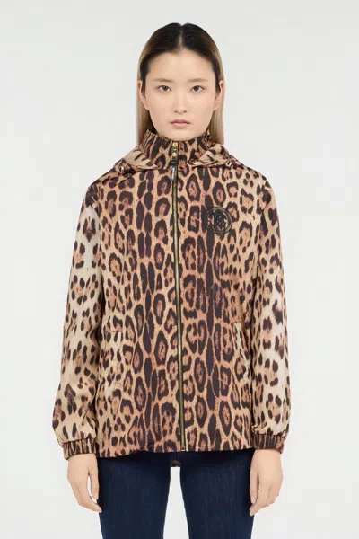 Roberto Cavalli Leopard Print Jacket In Brown