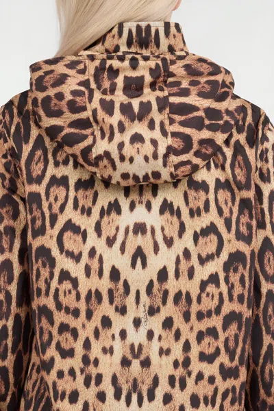 Roberto Cavalli Leopard Print Jacket In Brown