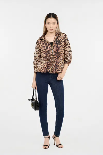 Roberto Cavalli Leopard Print Jacket In Brown