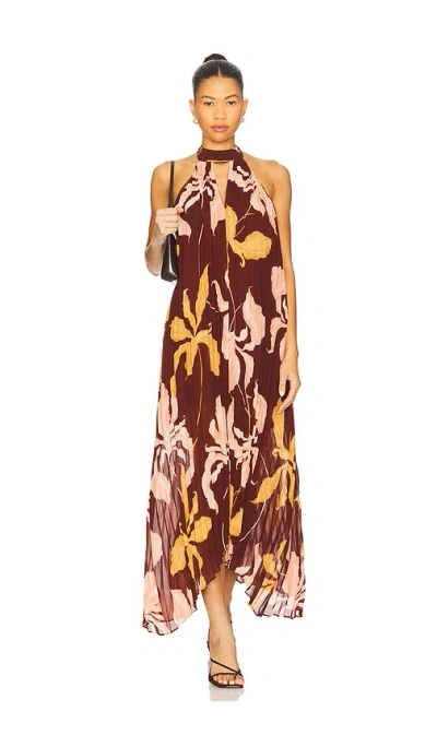 Steve Madden Maraya Floral Pleated Halter Neck Maxi Dress In Multi