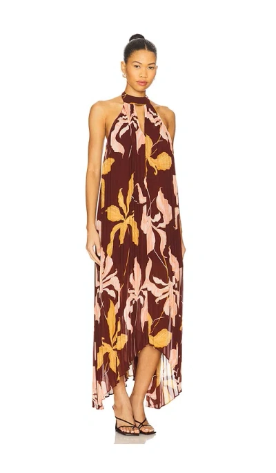 Steve Madden Maraya Floral Pleated Halter Neck Maxi Dress In Multi