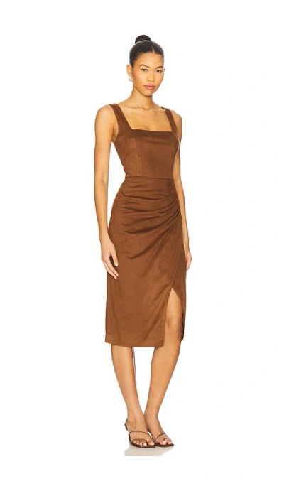 Steve Madden Milo Dress In Brown