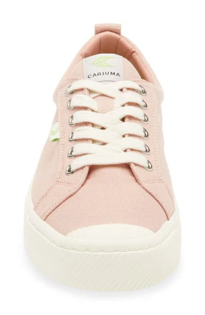 Cariuma Ladies Oca Low Lace-up Canvas Trainers In Pink