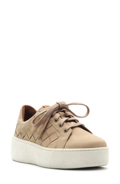 Gentle Souls Women's Kindy Woven Round Toe Sneakers In Brown