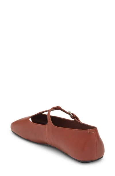 Jeffrey Campbell Keeneland T-strap Peep Toe Flat In Brown