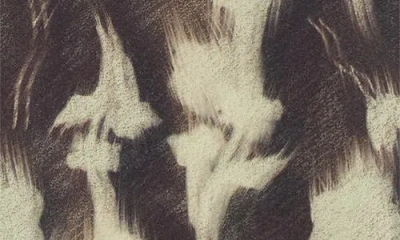 Siedres Siedrés Arden Print Mesh Top In Multi