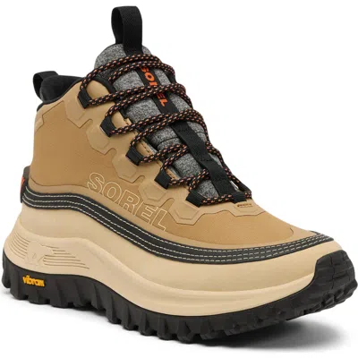 Sorel Lace-up Logo Patch Sneakers In Neutral