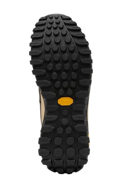 Sorel Lace-up Logo Patch Sneakers In Neutral