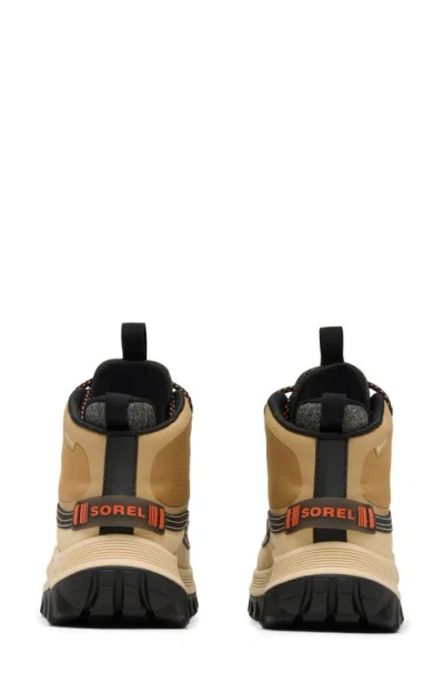 Sorel Lace-up Logo Patch Sneakers In Neutral