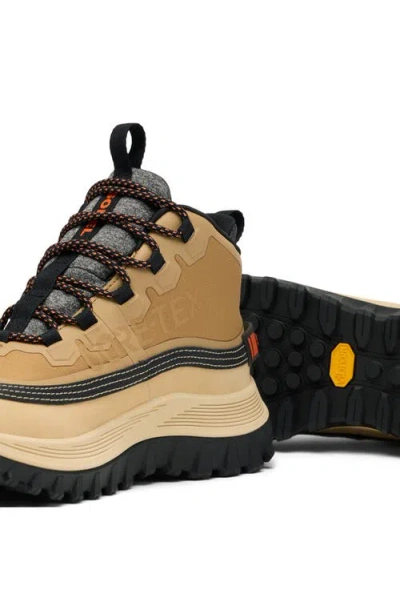 Sorel Lace-up Logo Patch Sneakers In Neutral