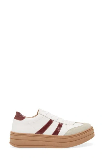 Chocolat Blu Valox Sneaker In Multi