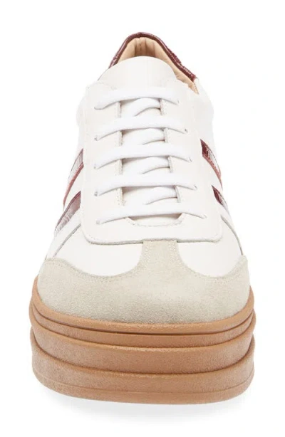 Chocolat Blu Valox Sneaker In Multi