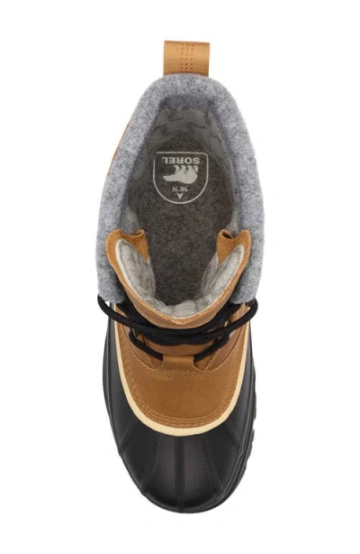 Sorel Caribou Horizon Boots In Brown