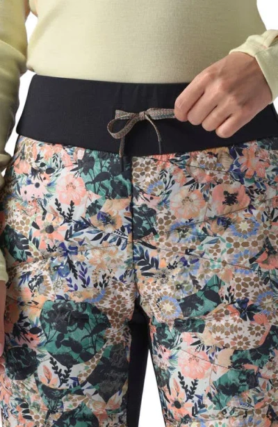 Backcountry Stansbury Allied Down Tight In Multi