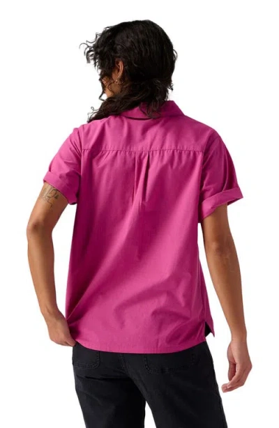 Backcountry Cotton Button-up In Pink
