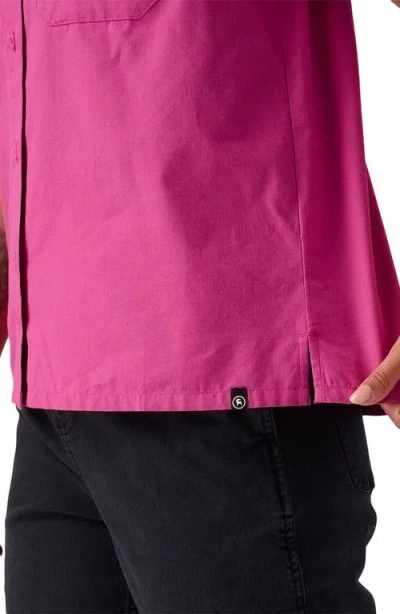 Backcountry Cotton Button-up In Pink