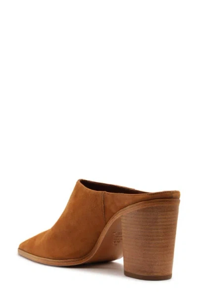 Schutz Mikki Pointed Toe Mule In Brown