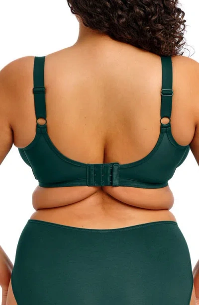 Elomi Plus Size Smooth Underwire Moulded Non Padded Bra El4301 In Green