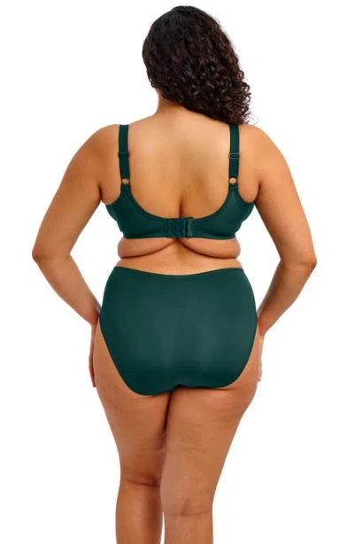 Elomi Plus Size Smooth Underwire Moulded Non Padded Bra El4301 In Green