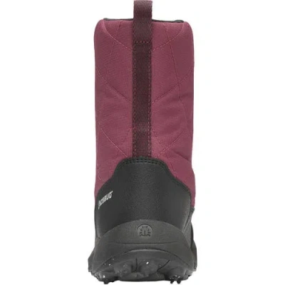 Icebug Ivalo 4 Bugrip Winter Boot In Purple