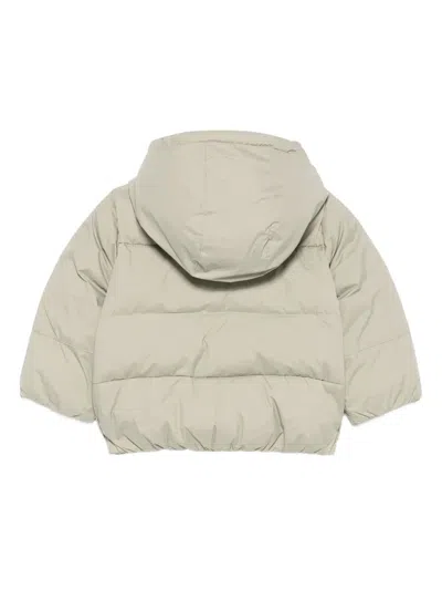 K-way Hooded Puffer Jacket In Multi