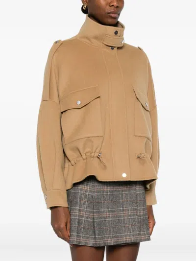 Pinko ||| In Brown