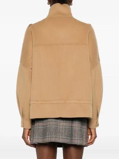 Pinko ||| In Brown