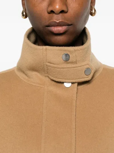 Pinko ||| In Brown