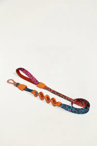 Farm Rio Zeedog Farm Onca Ruff Leash - Size S In Multi