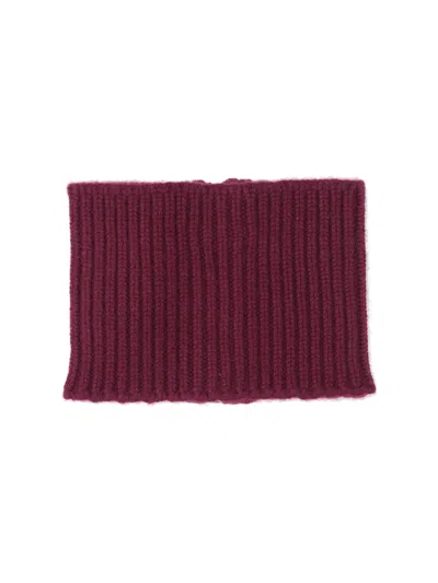 Sa Su Phi Textured Ribbed Scarf For All Seasons In Burgundy