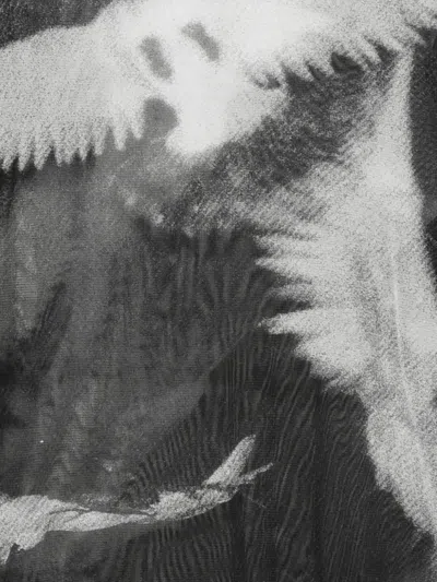 Ann Demeulemeester Mesh Graphic-print T-shirt In Multi