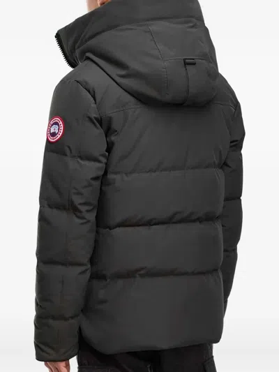 Canada Goose Macmillan Water Repellent 625 Fill Power Down Parka In Gray