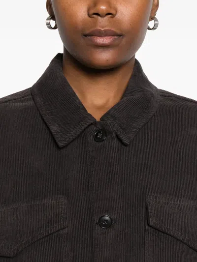 True Avenue Corduroy Jacket In Brown