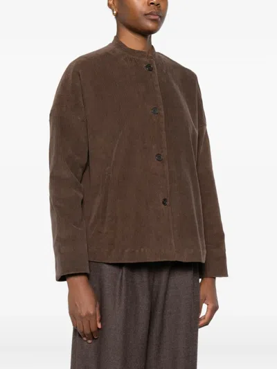 Why Ci Corduroy Buttoned Jacket In Brown