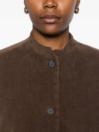 Why Ci Corduroy Buttoned Jacket In Brown