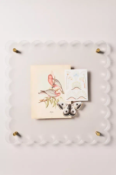 Anthropologie Scalloped Acrylic Gallery Frame In Multi