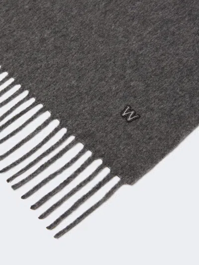 Weekend Max Mara Fringed Scarf In Gray