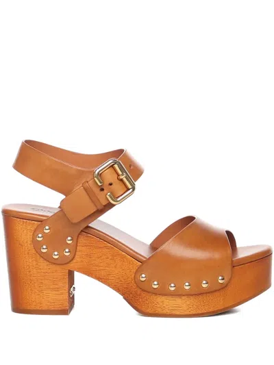 Chloé Jeannette Wedge Clogs In Brown