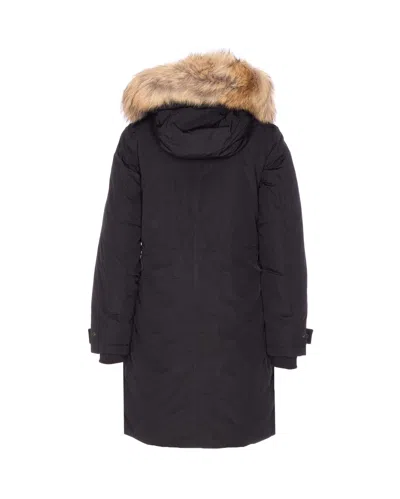 Woolrich Padded Coat With Removable Fur Hood In Black