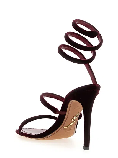René Caovilla Spiral Design Velvet Heels With Ankle Wrap In Burgundy