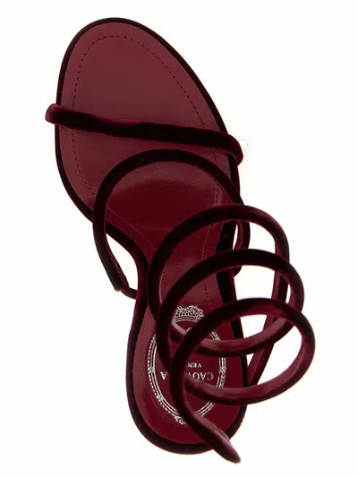 René Caovilla Spiral Design Velvet Heels With Ankle Wrap In Burgundy