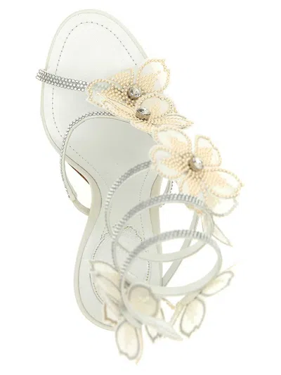 René Caovilla Rene Caovilla Leather Peach Flower Sandals In White