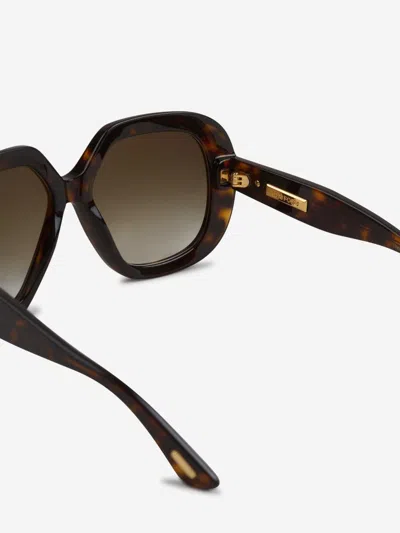 Tom Ford Icon Sunglasses In Brown