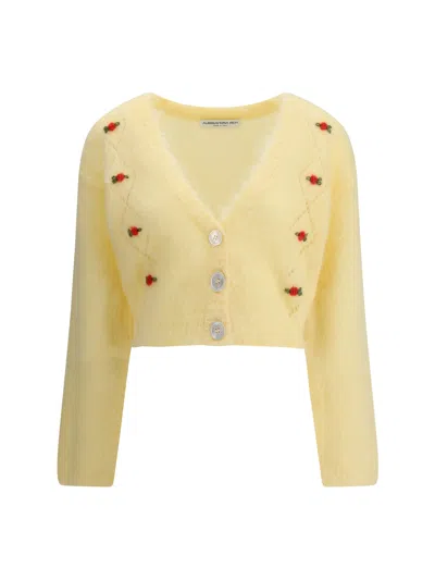 Alessandra Rich Women Mohair Cardigan With Embroidery In Yellow