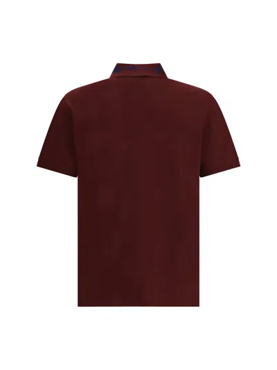 Alexander Mcqueen Men Polo Shirt With Logo On The Collar In Brown